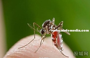 [新聞] 南非吸脂蚊子：快來咬我！
